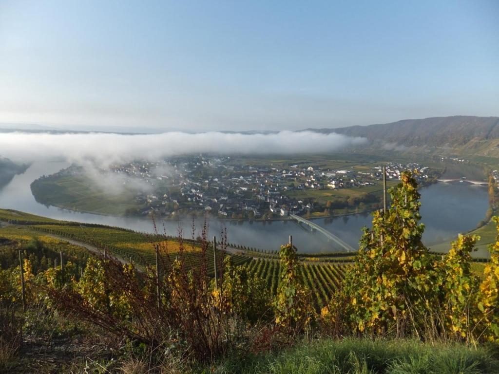 Pension Zur Muehle Veldenz Esterno foto